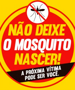 Mosquito2